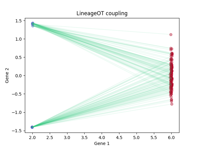 LineageOT coupling