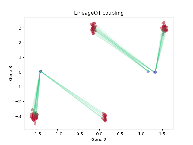 LineageOT coupling